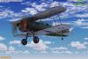 Click to view glostergladia-23_t1.jpg