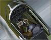 Click to view mustang-10_t1.jpg