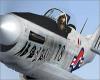 Click to view mustang-13_t1.jpg