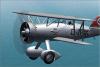 Click to view curtisshawk2-4_t1.jpg